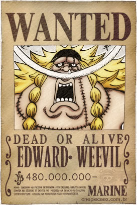 edward weevil bounty