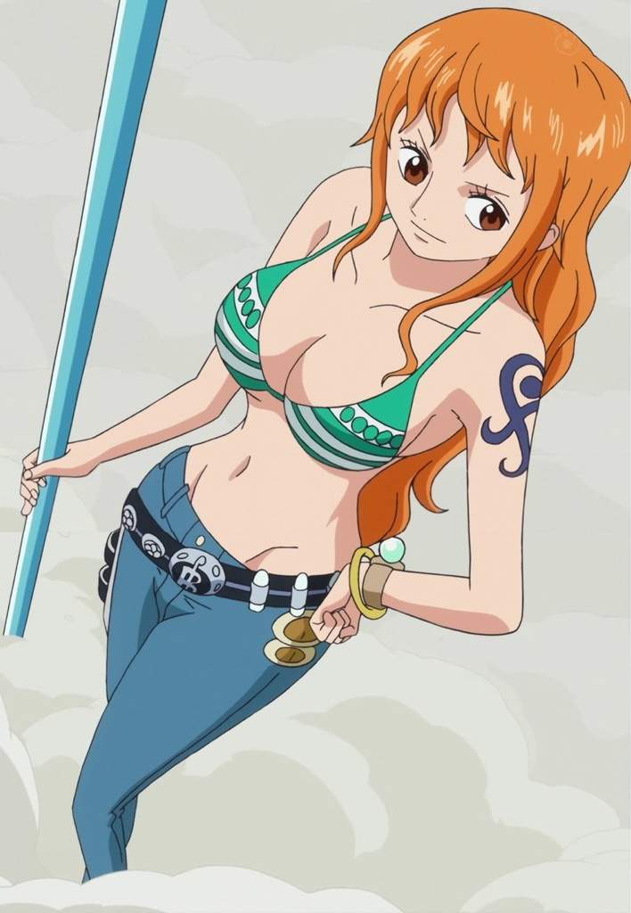 One Piece Nami Time Skip 