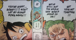 zoro luffy punk hazard