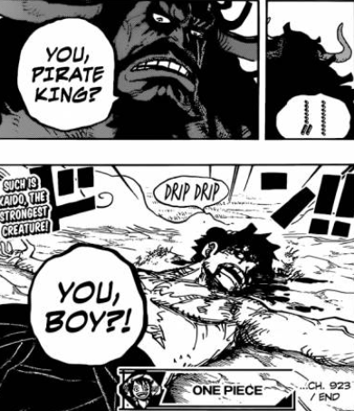 Luffy Defeated by Kaido - One Piece Manga Chapter 923