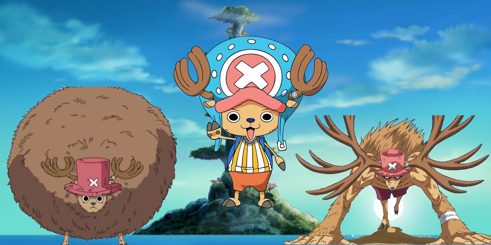 Chopper One Piece Explained: Backstory, Devil Fruit Forms, and Why He ...